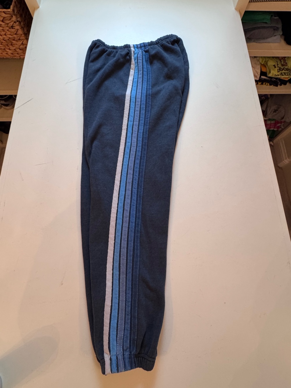 Aviator Nation Navy Joggers with Blue and Light Gray Side Stripes